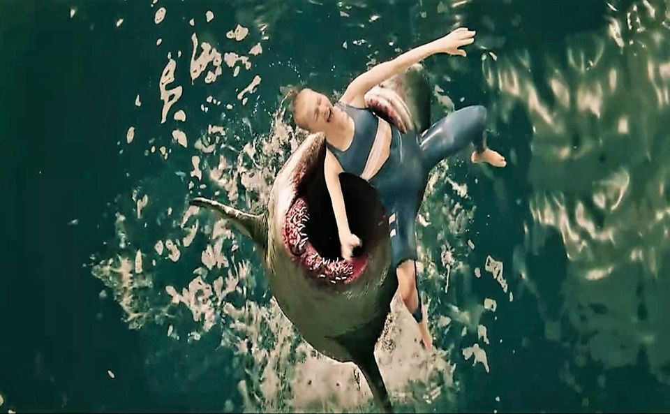 Побег от акулы Escape of Shark (2021) Русский Free Cinema Aeternum